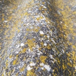Raw uncleaned asbestos sheet