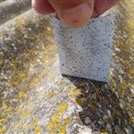 Pull off test to determine the suitability of the substrate, showing the presence of asbestos fiber before applying Crommelin Fibroseal